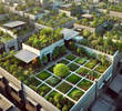 Delhi’s Rooftop Gardens: Transforming Urban Spaces with Plant Delivery Services